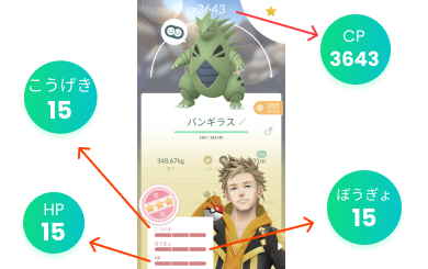 Step 2: enter CP and IV bars