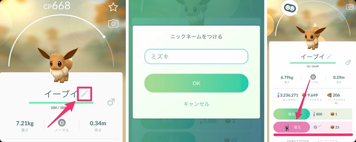 名前指定で色違いイーブイを進化